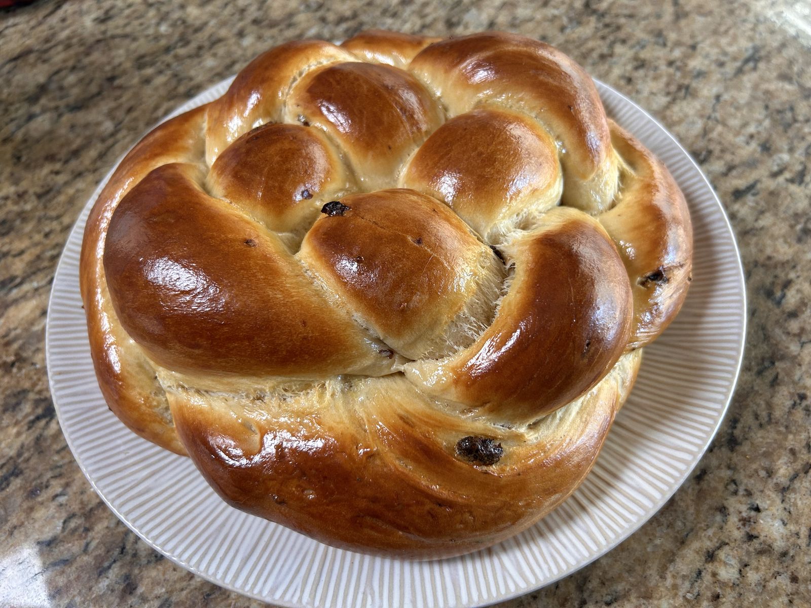 Golden Harvest Round Raisin Challah on white plate
