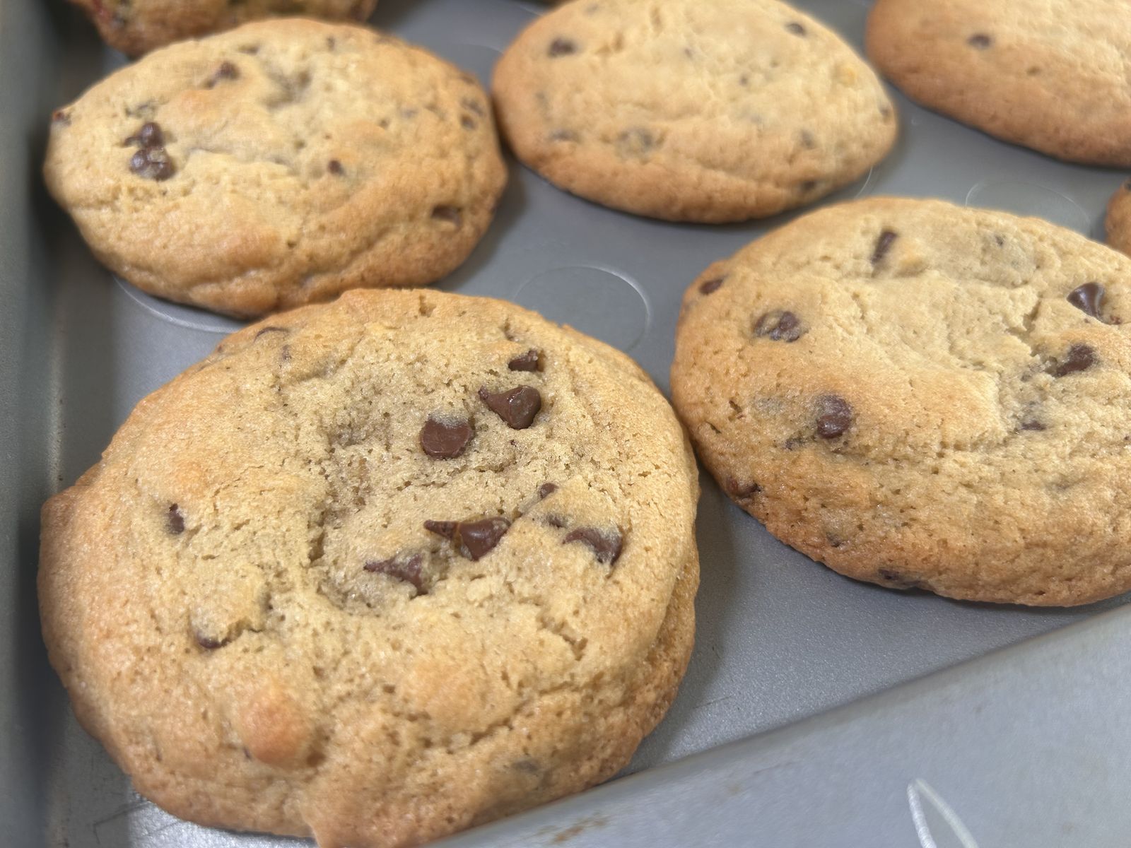 chocolate chip cookies on a baking pan